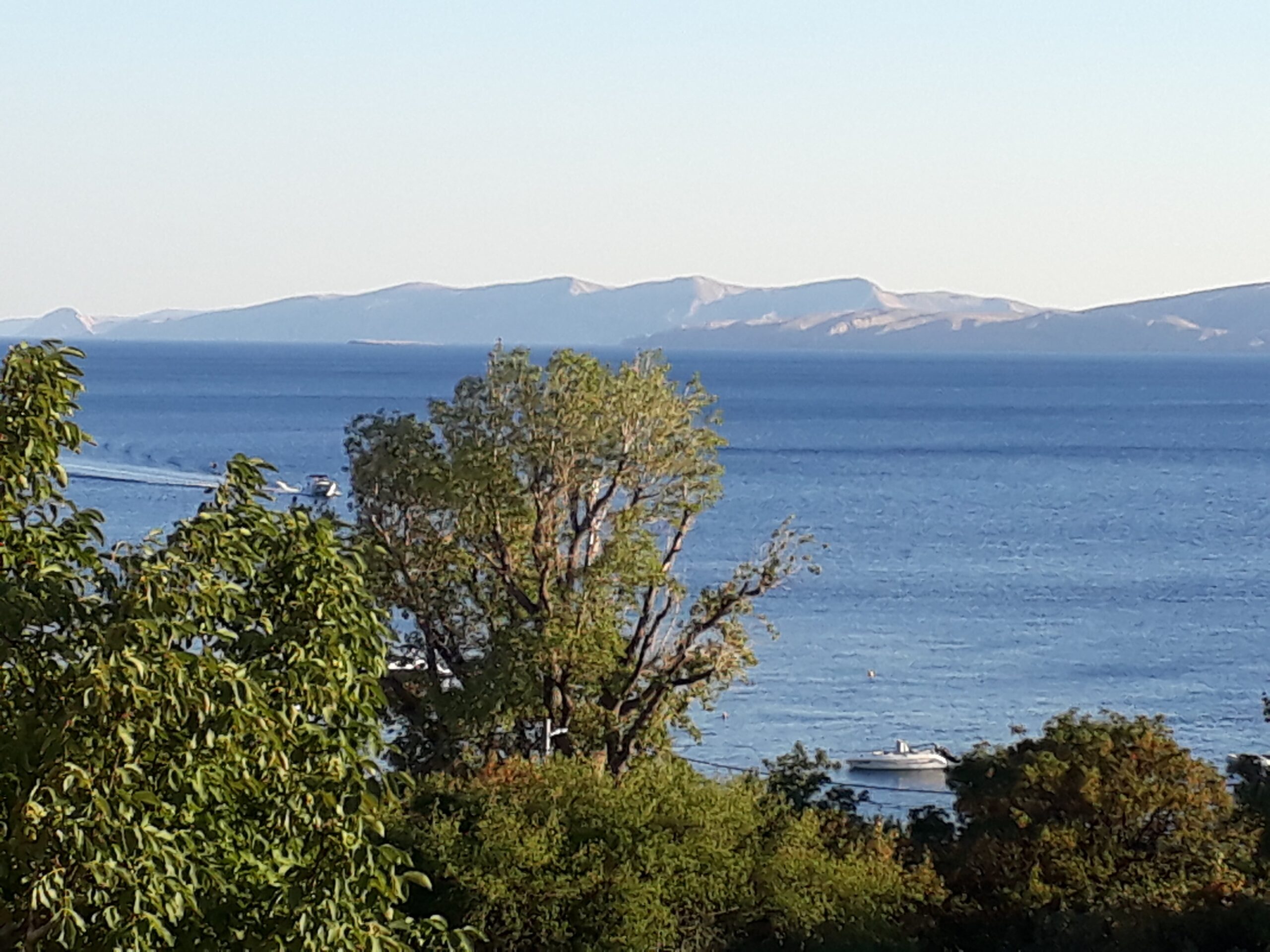 6d0d51a6-35d0-4543-a706-759d5f45e2d3